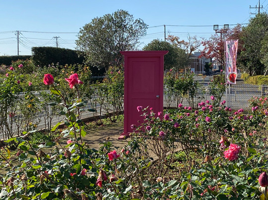 Ina Choseishiko Memorial Park-伊奈町必去景点