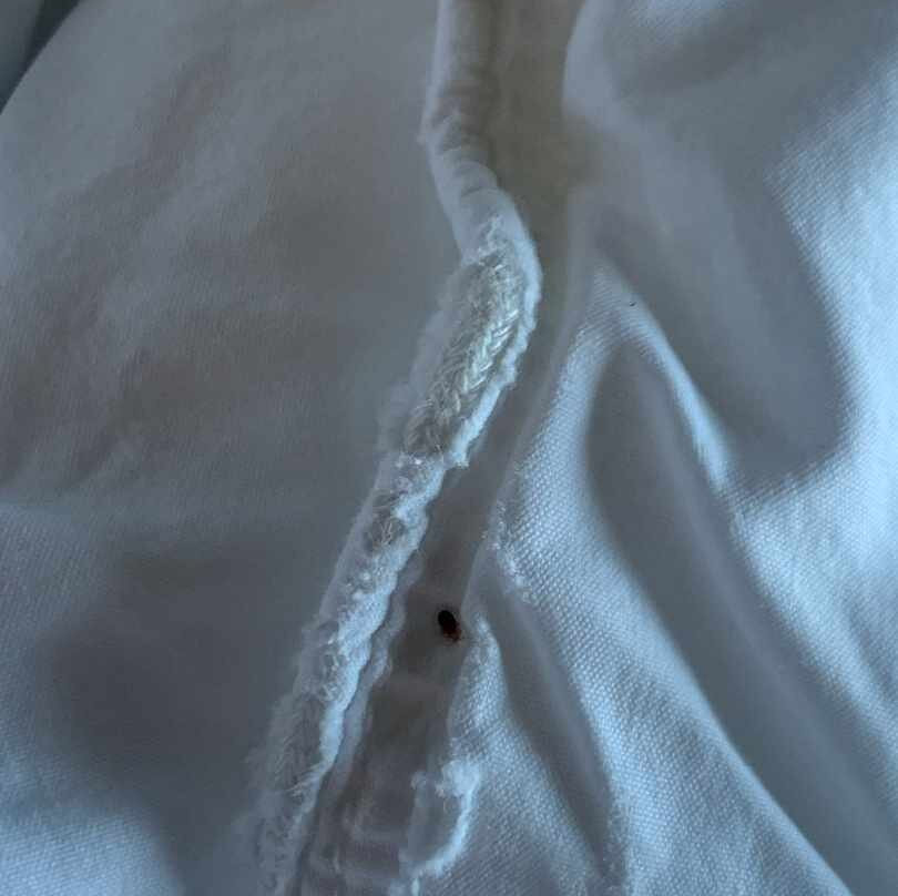 Quality Inn Selah North Park主图