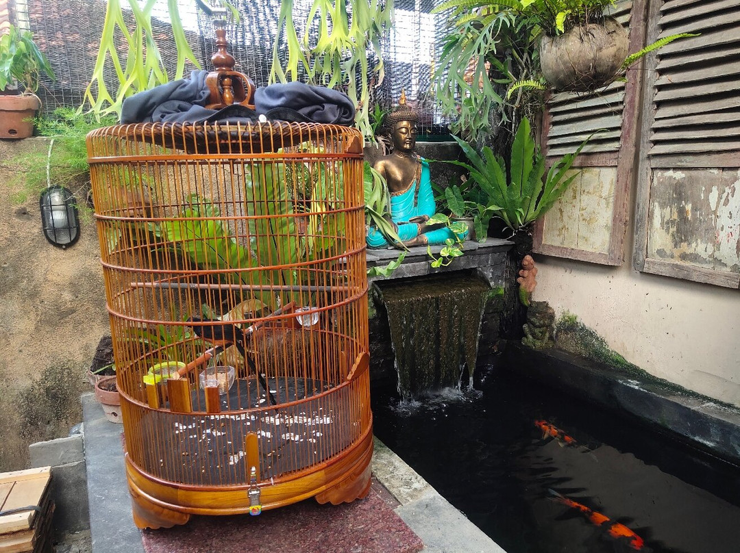 Samblung Mas House主图