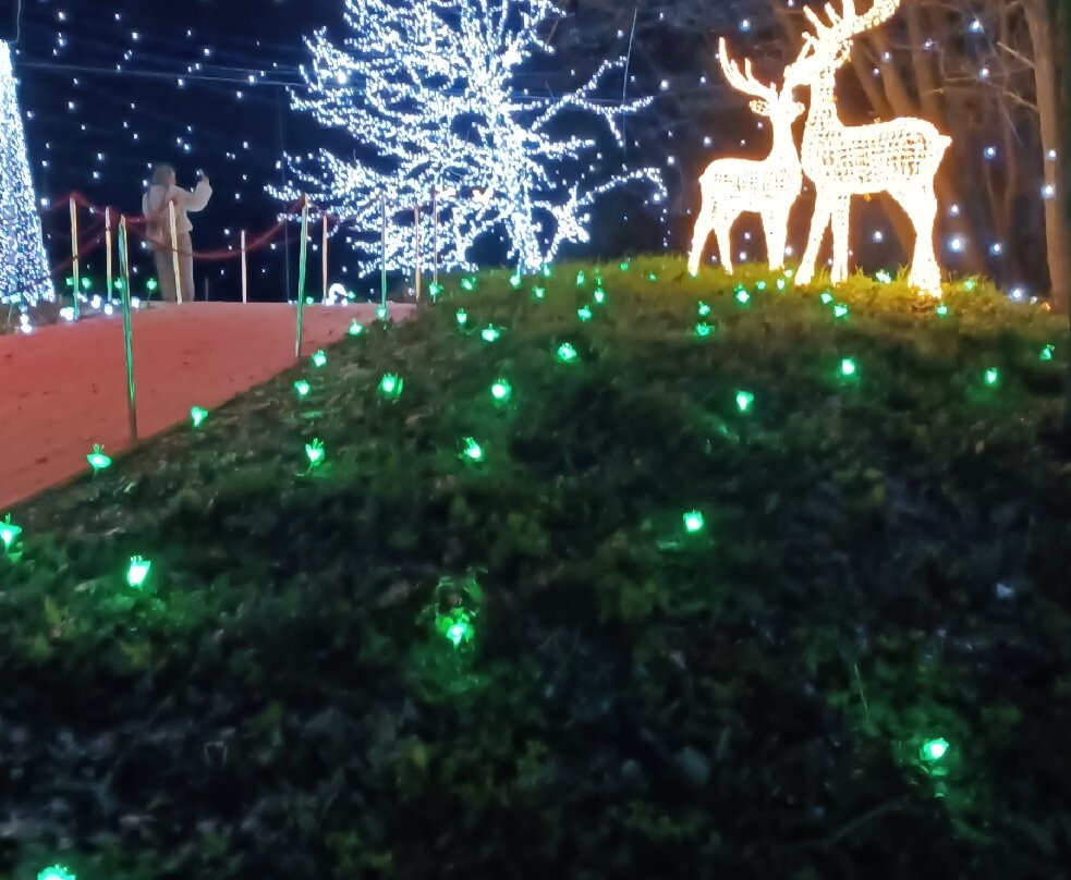 Lucine Di Natale景点图片
