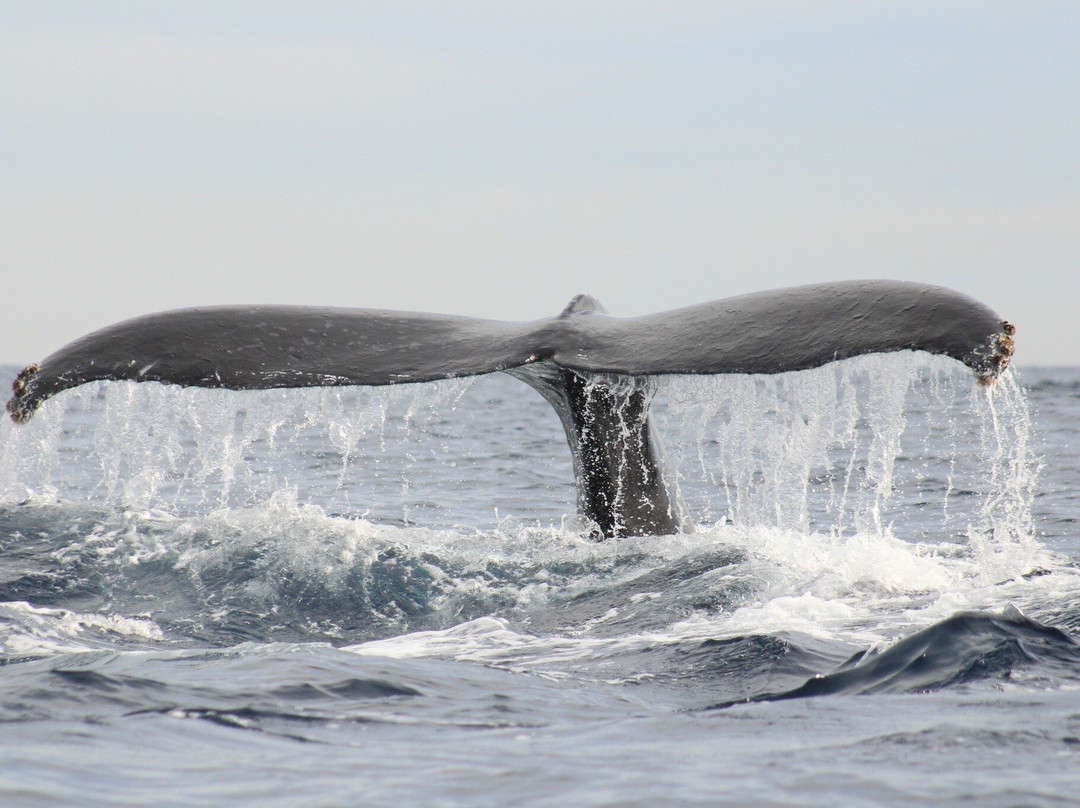 True Baja-卡波圣卢卡斯必去景点