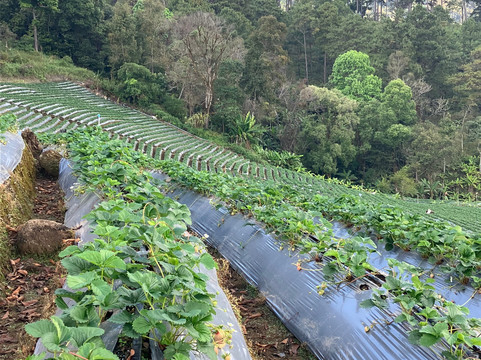 Bangkok Hiking-曼谷必去景点