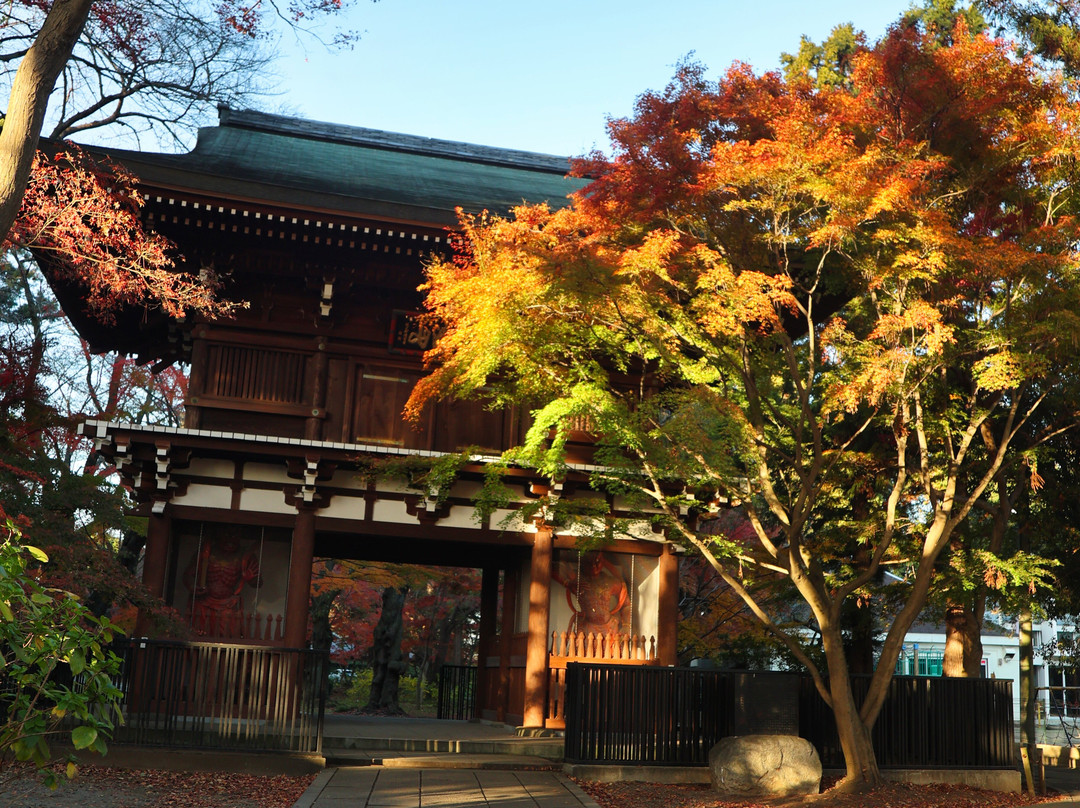 Tozen-ji Temple-松户市必去景点