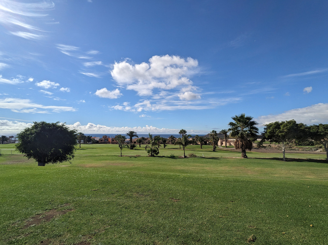 Amarilla Golf景点图片