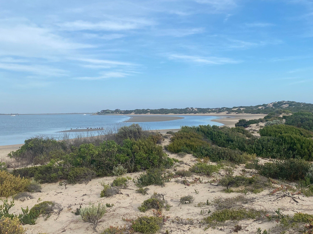 Canoe The Coorong - Day Tours-Hindmarsh Island必去景点