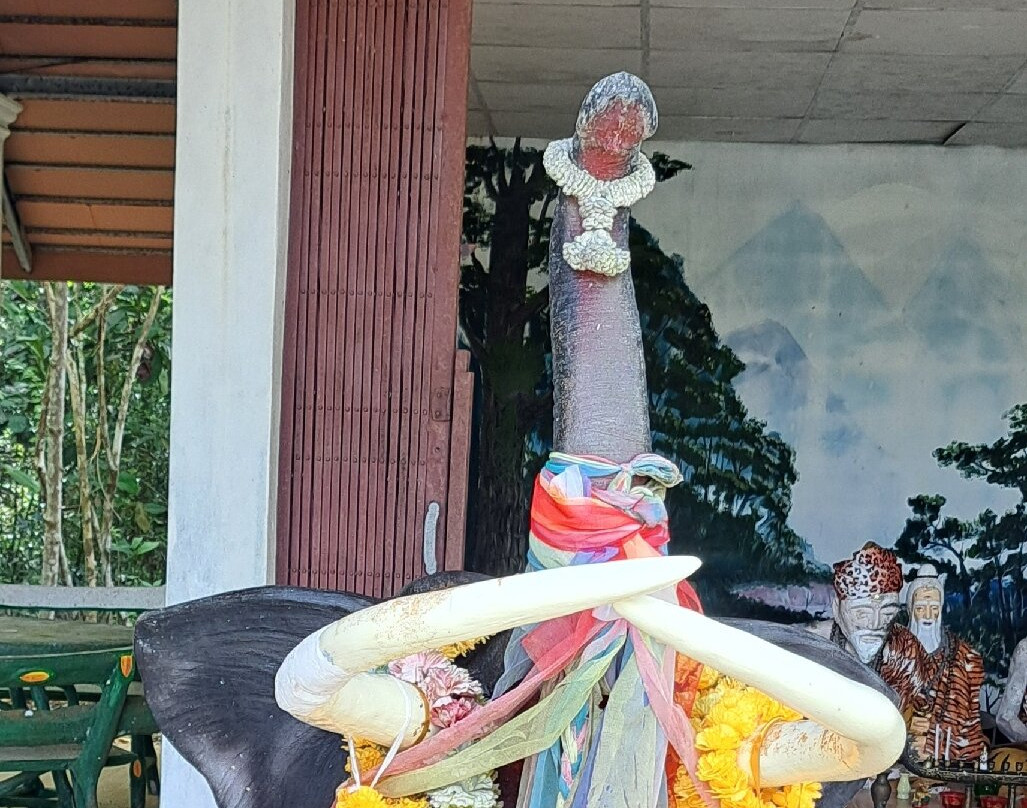 Hermit Shrine景点图片