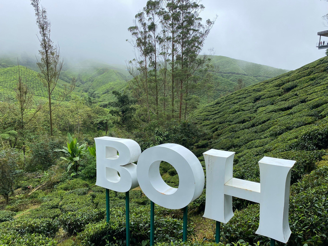 Jaies Chauffeur Service and Tour Assistant-怡保必去景点