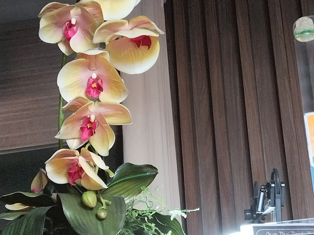 Oren Thai Touch Massage and Spa-帕拉纳克市必去景点