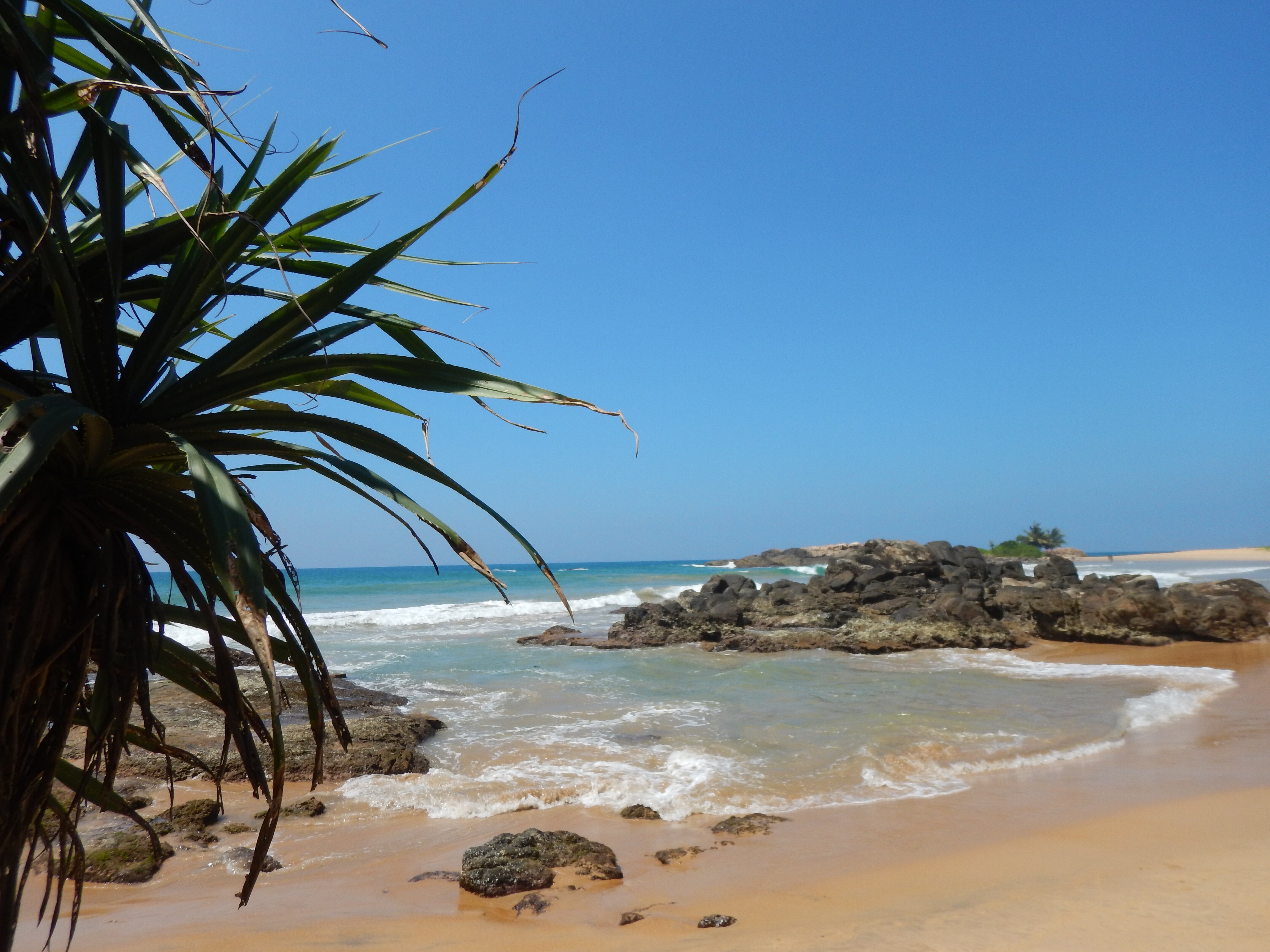 Nimal's Homestay-官方