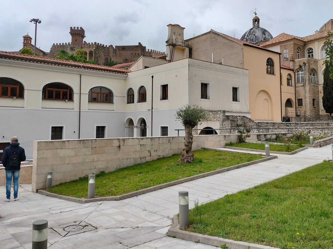 Museo Civico Umberto Nobile景点图片