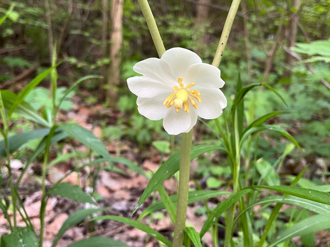 A.W. Marion State Park-Circleville必去景点