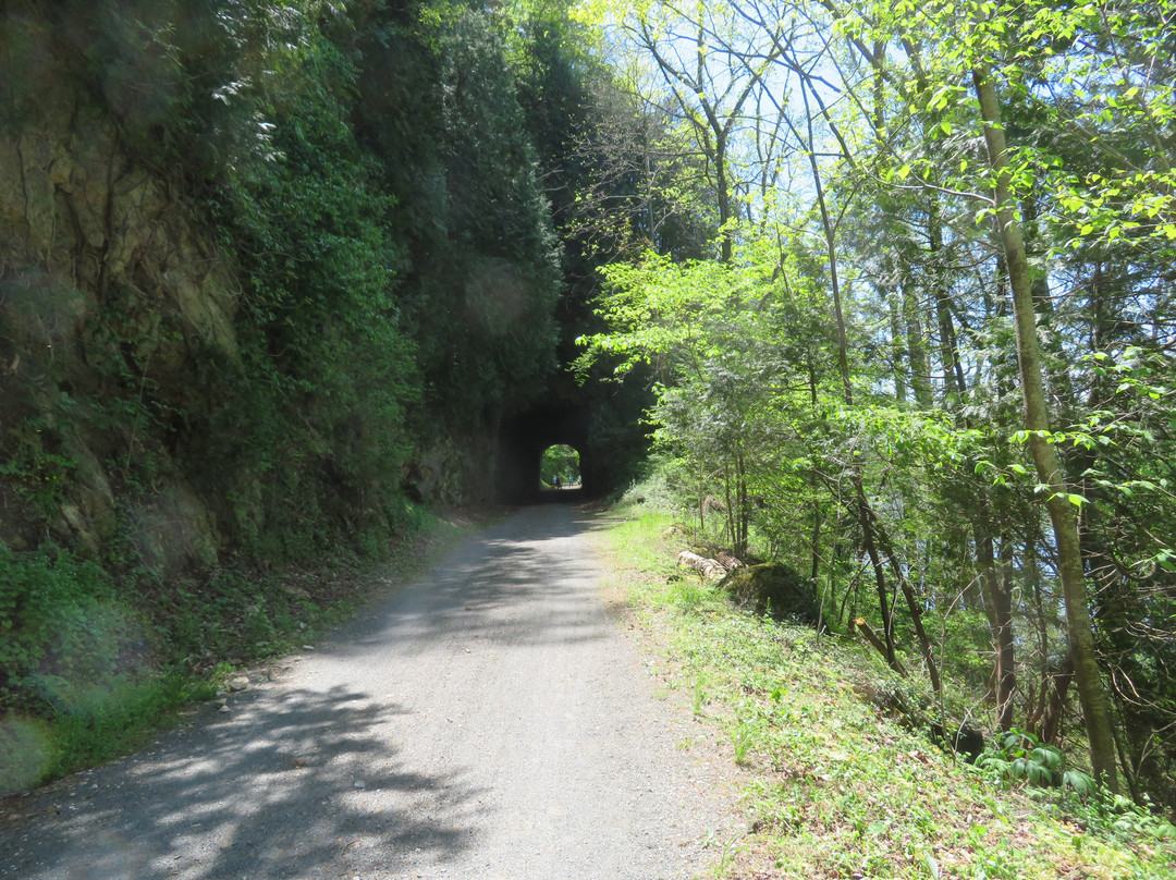 Magical Mystery Bike Tours, LLC-罗阿诺克必去景点