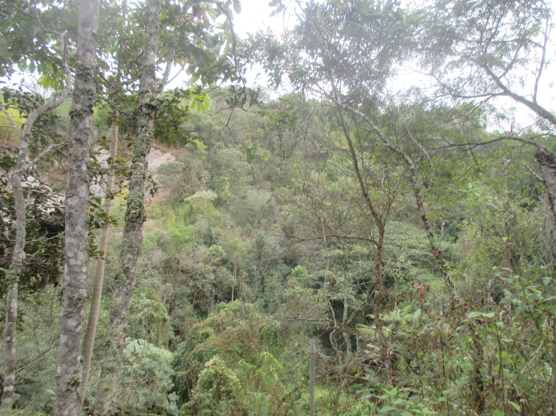 Parque Vale dos Contos-欧鲁普雷图必去景点