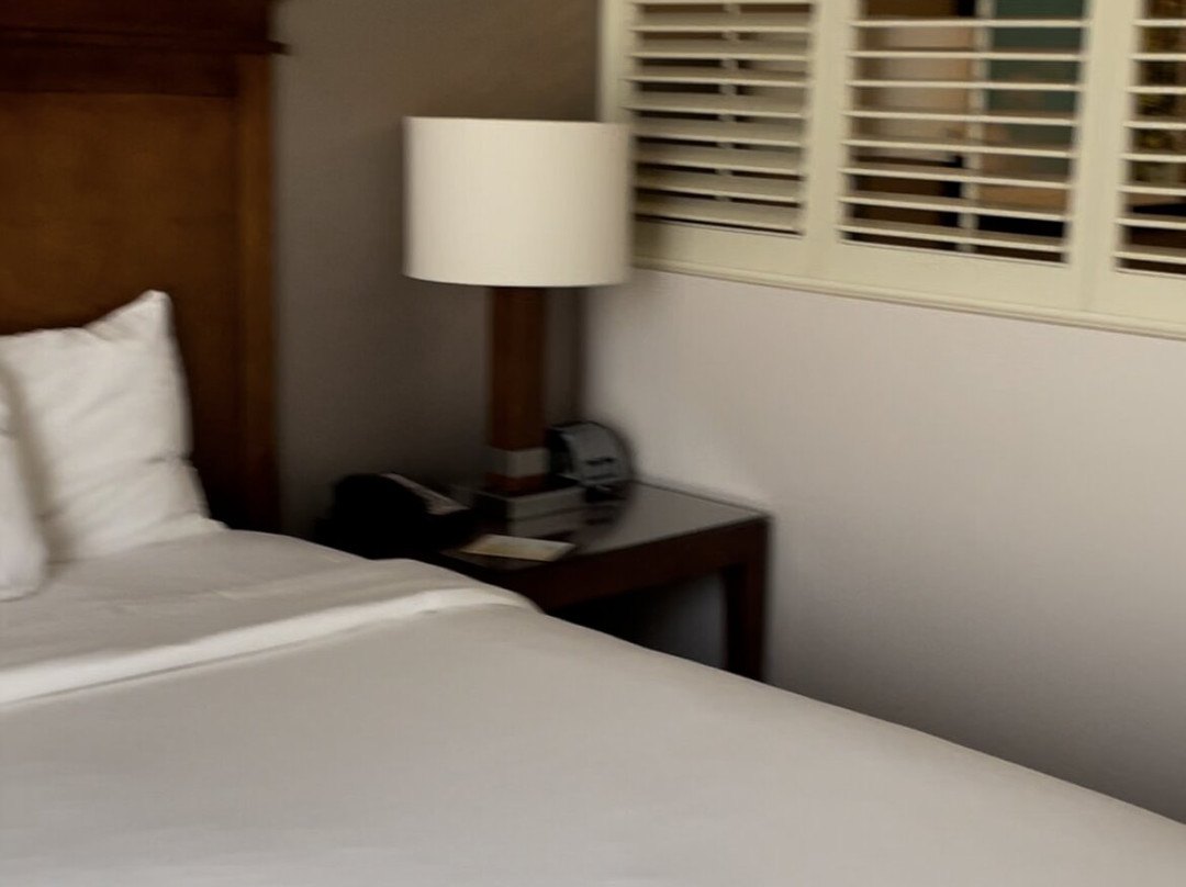 阿纳海姆艾雅酒店主图