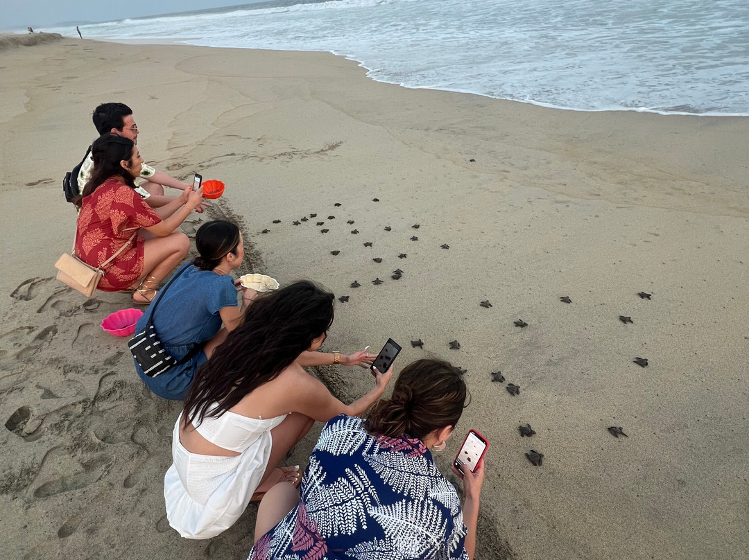 Huatulco Activities-瓦图尔科必去景点