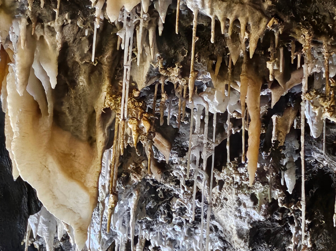 California Cavern景点图片