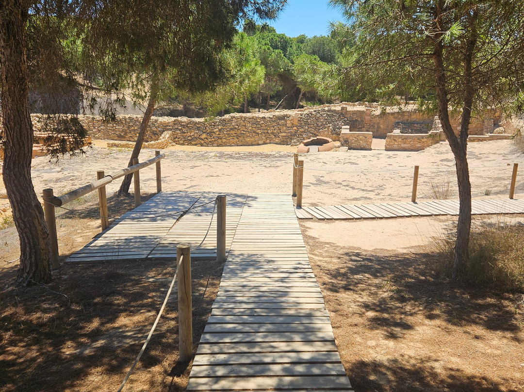 Parque Alfonso XIII景点图片