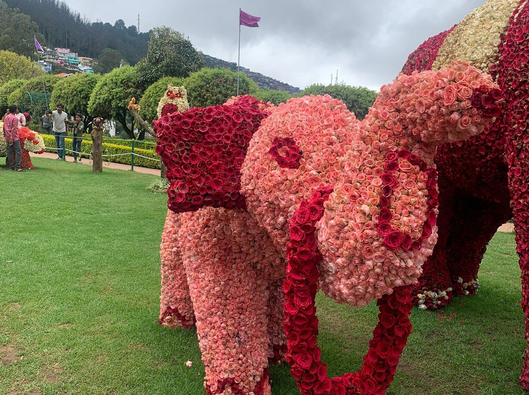 Government Rose Garden-乌提必去景点