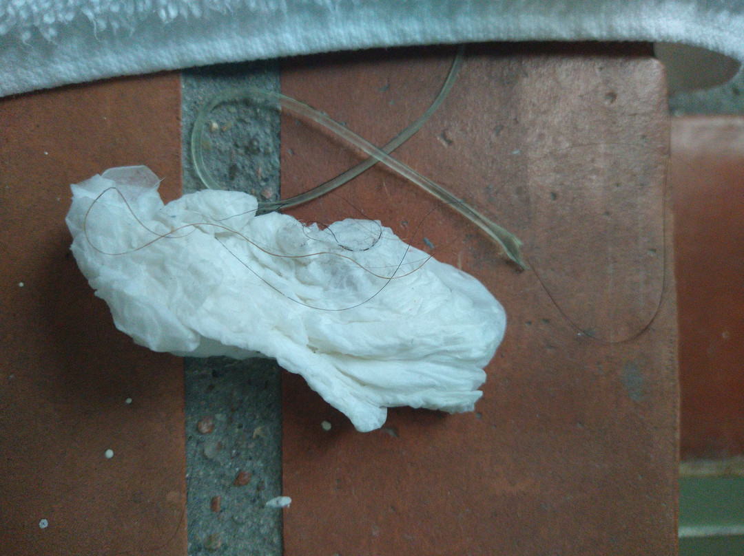 Western Hotel Ouray主图