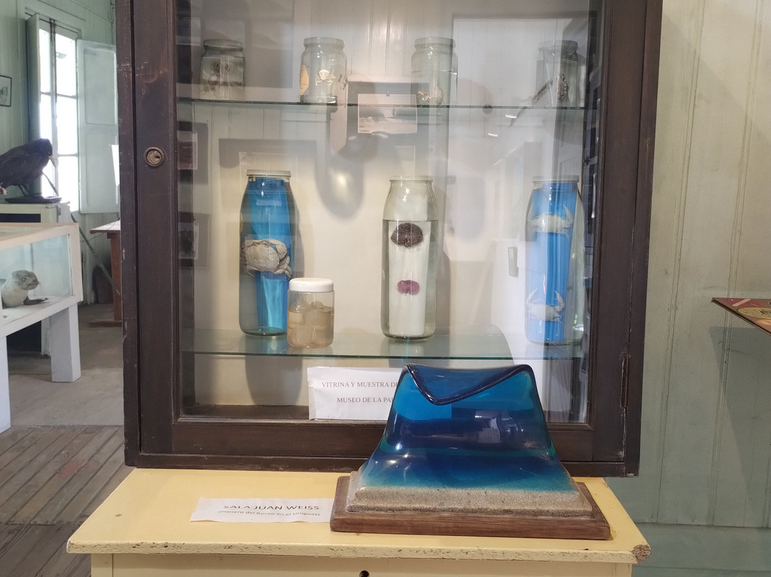 Museo De La Paloma-La Paloma必去景点