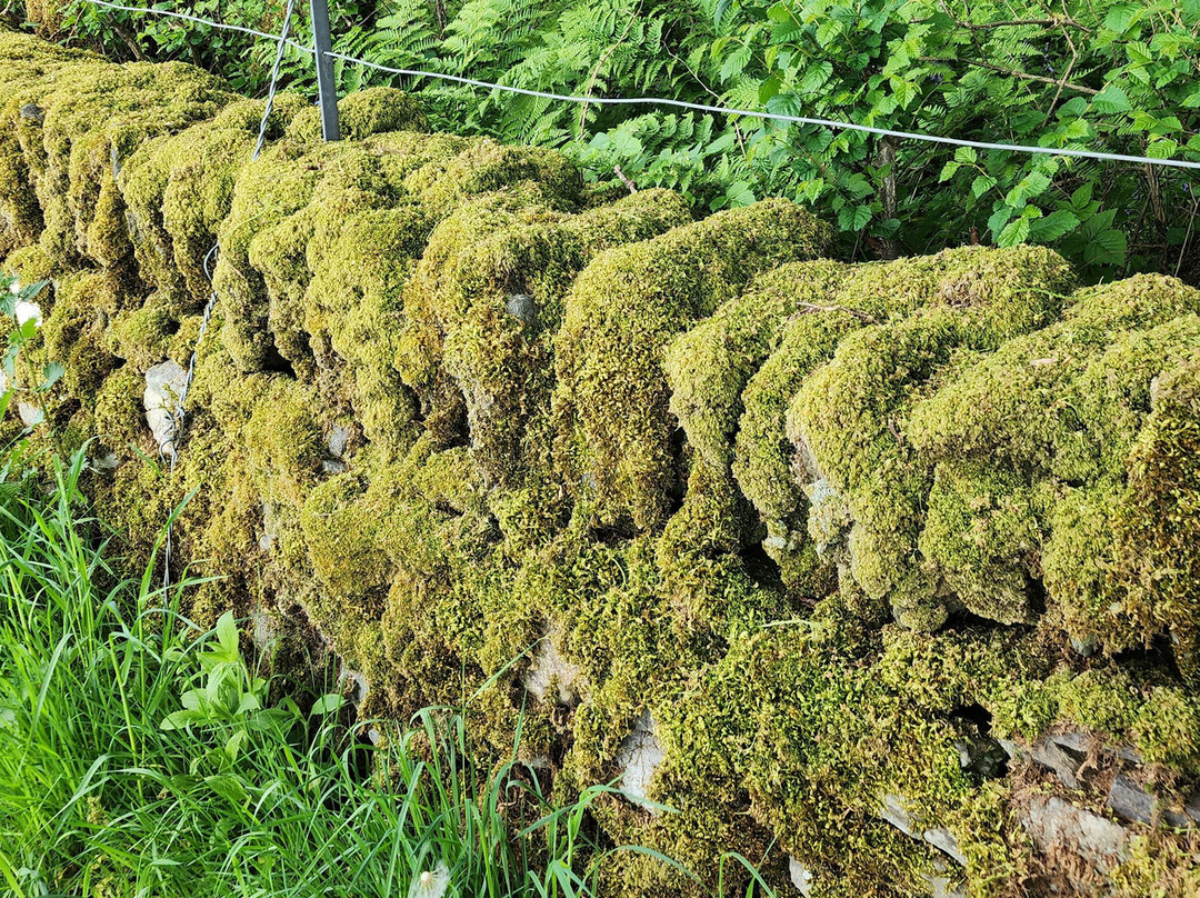 Nether Largie Mid Cairn-Kilmartin必去景点