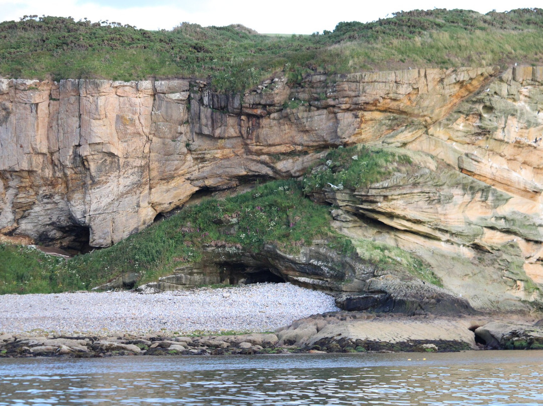 North 58 Sea Adventures景点图片