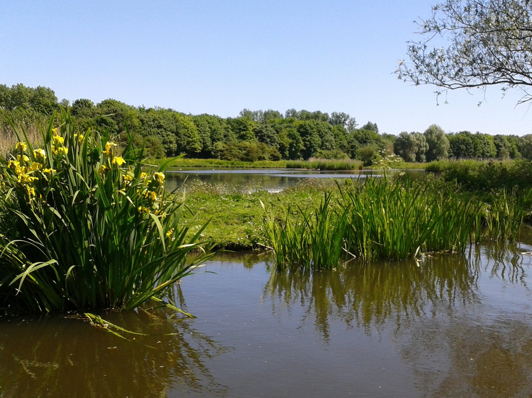 Fluisterboot de IJsvogel景点图片