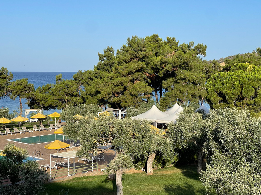 Royal Paradise Beach Resort & Spa主图