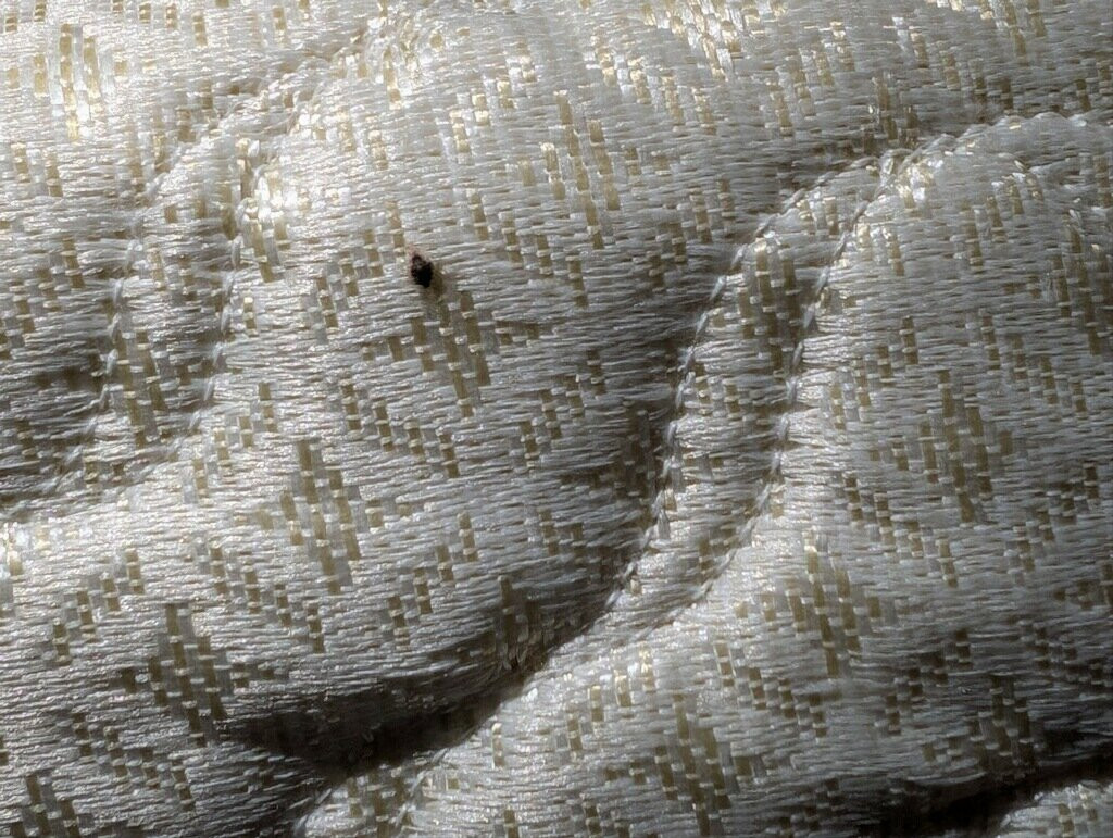 Hampton Inn & Suites Denver Littleton主图