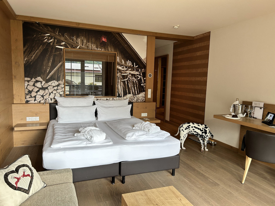 Panorama Hotel Oberjoch主图