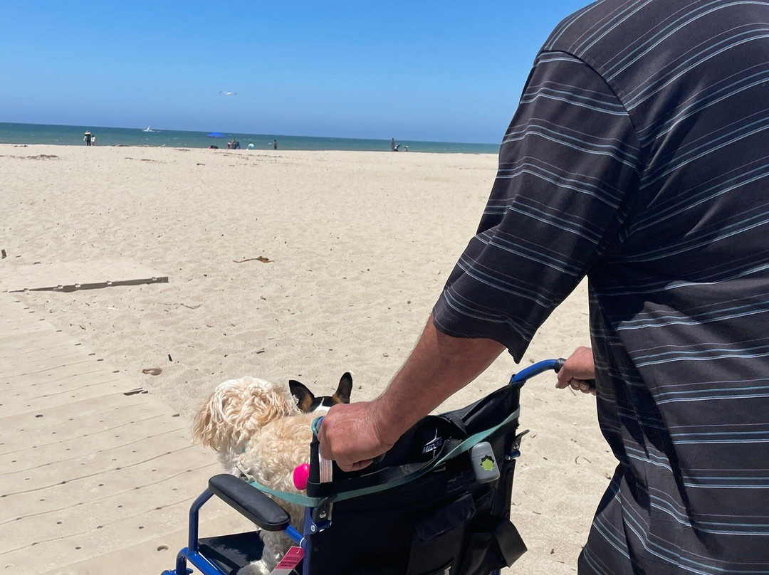 Oxnard State Beach and Park-奥克斯纳德必去景点