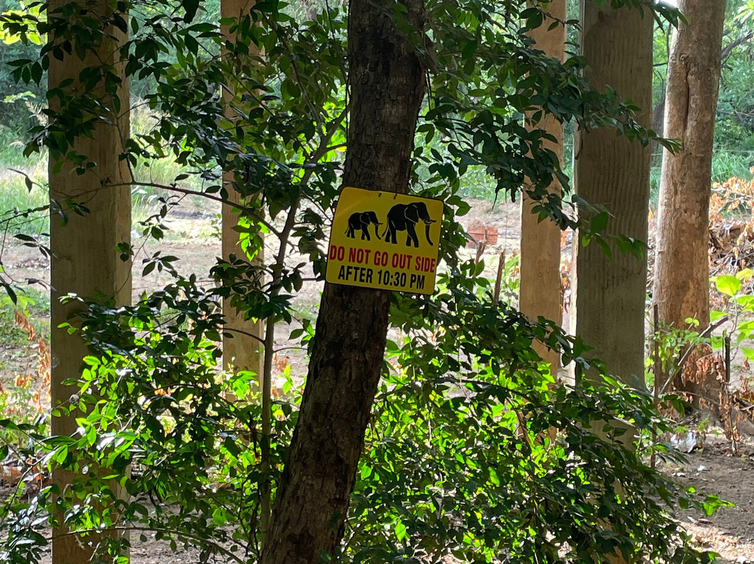 Habarana Ambasewana Resort主图