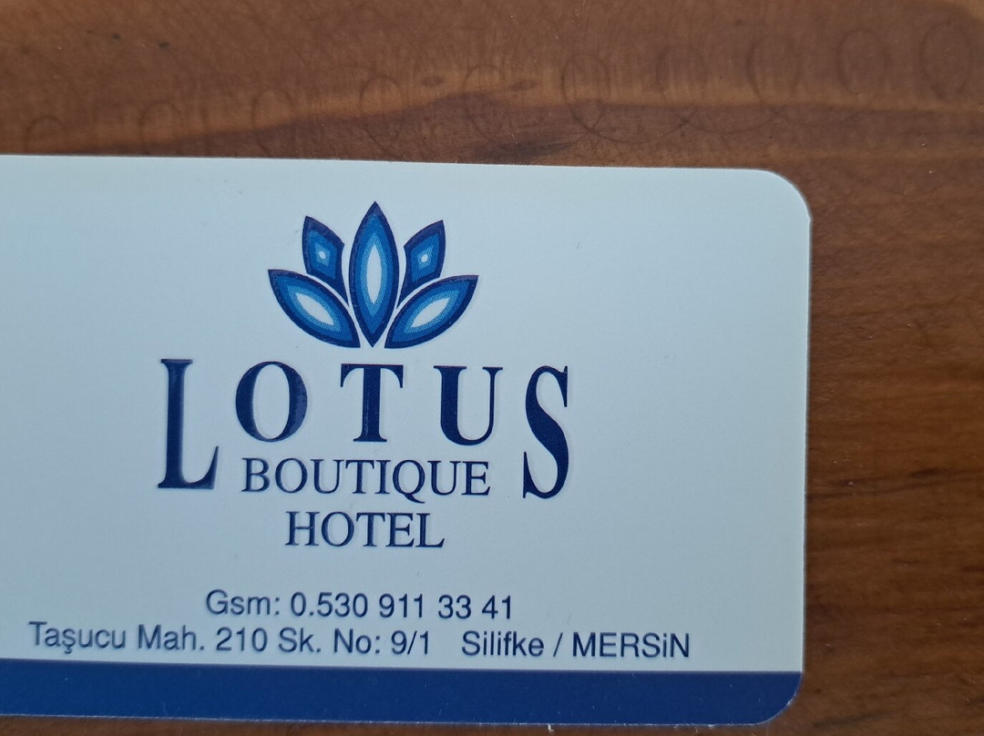 Lotus Hotel主图