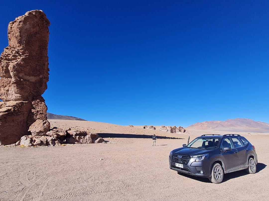 Salar de Tara-圣佩德罗-德阿塔卡马必去景点