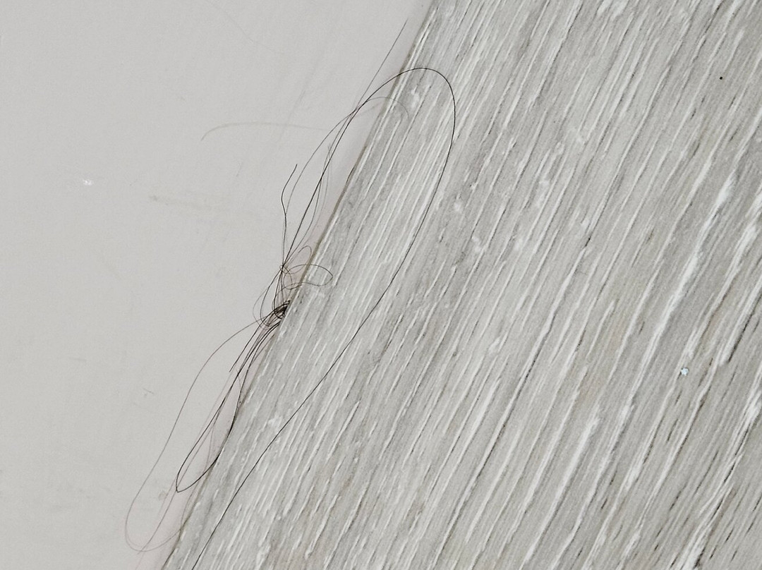 马杰斯提克丽晶酒店主图