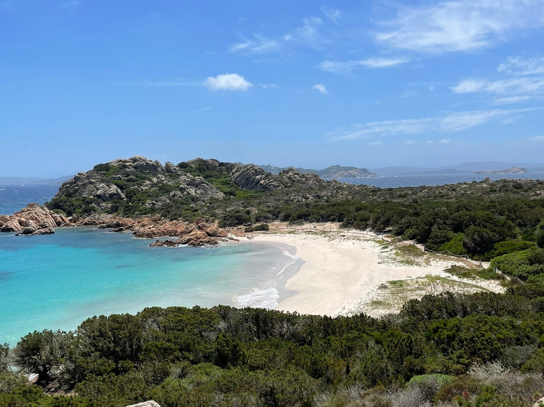 Spiaggia Rosa-Budelli必去景点