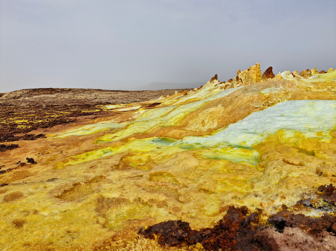 Bale Mountains Eco Tours Ethiopia景点图片