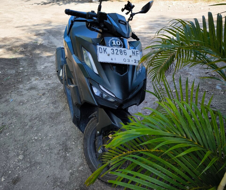 Doel Rental Scooter Nusa Penida-Toyapakeh必去景点