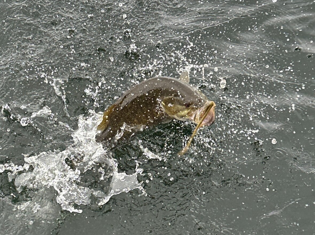 Silver Strike Fishing-Baileys Harbor必去景点