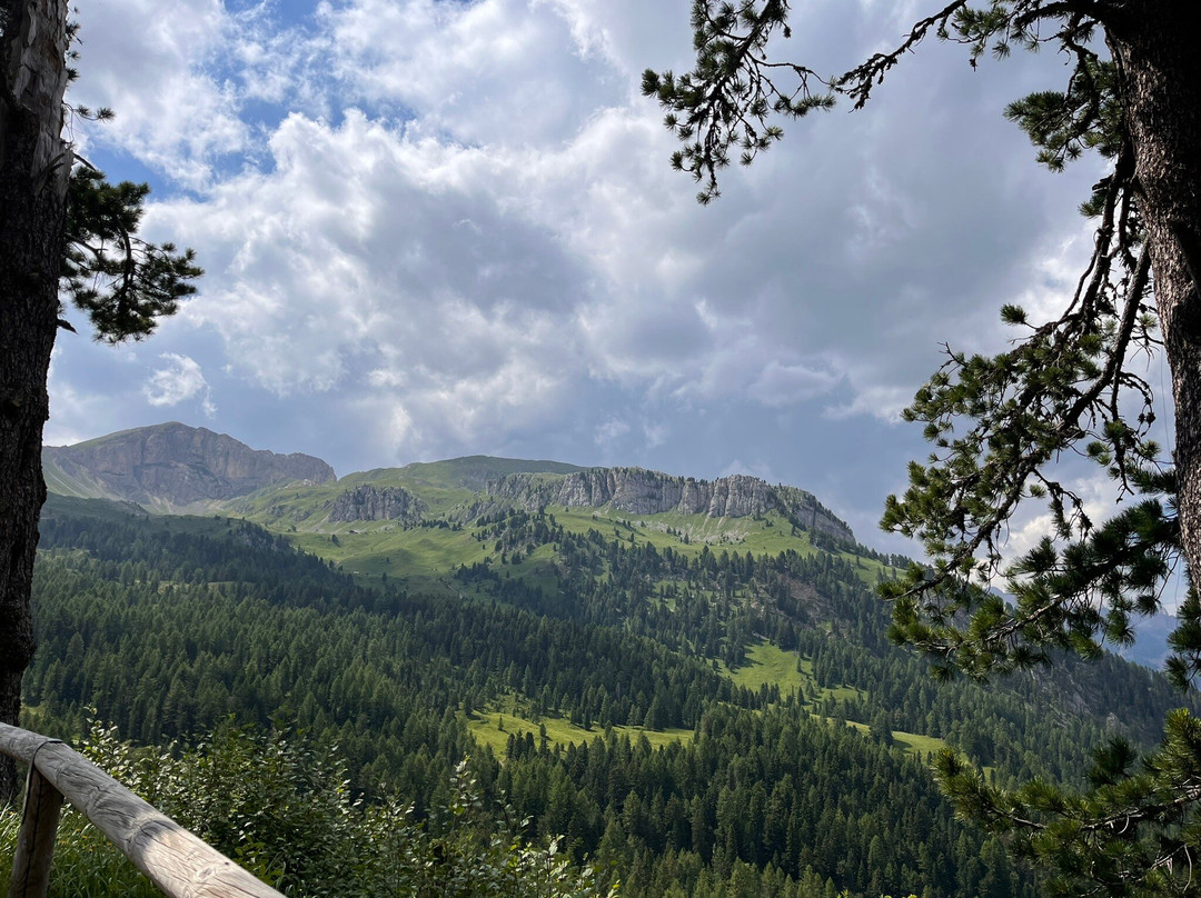 Rifugio Taramelli景点图片