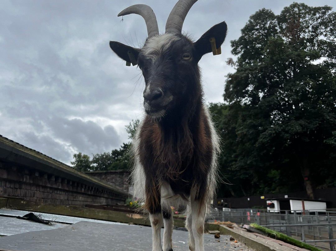 Croxteth Park Farm景点图片
