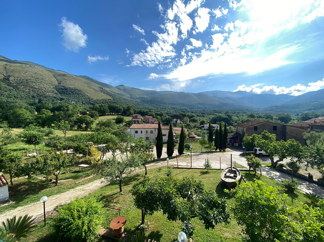 Azienda Agricola Donna Clara景点图片