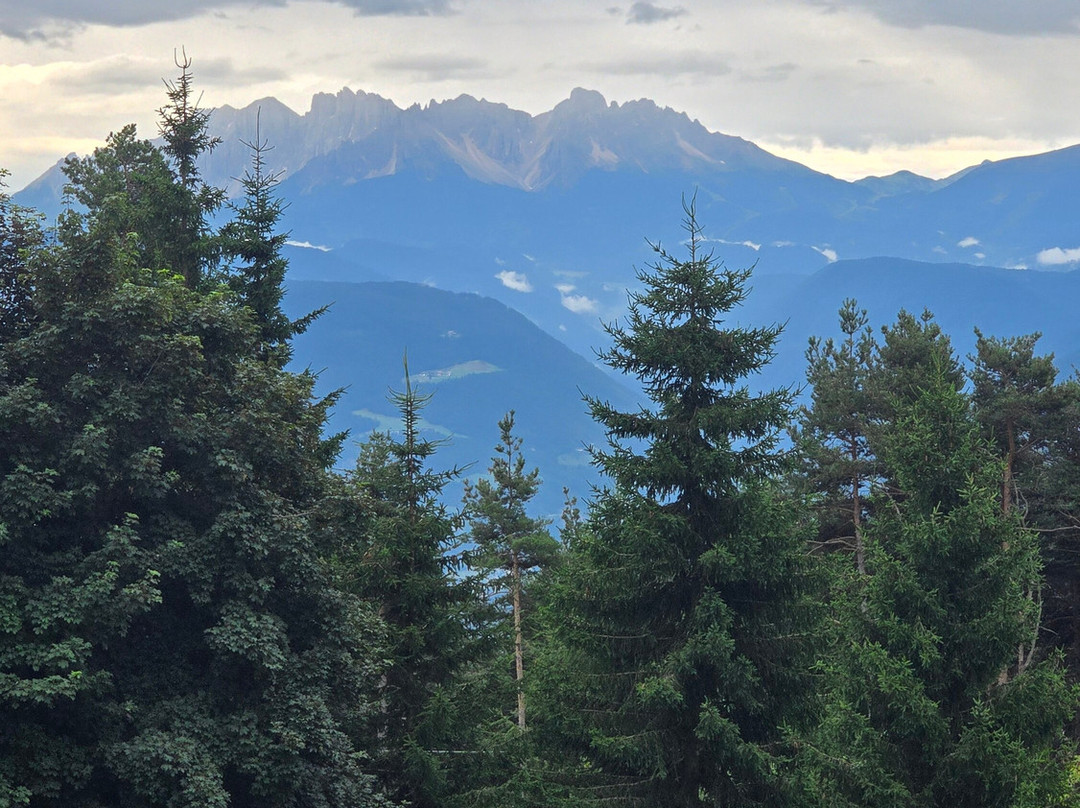 Gasthof Edelweiss主图