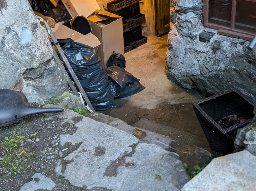 Laerdalsoren Hotel主图