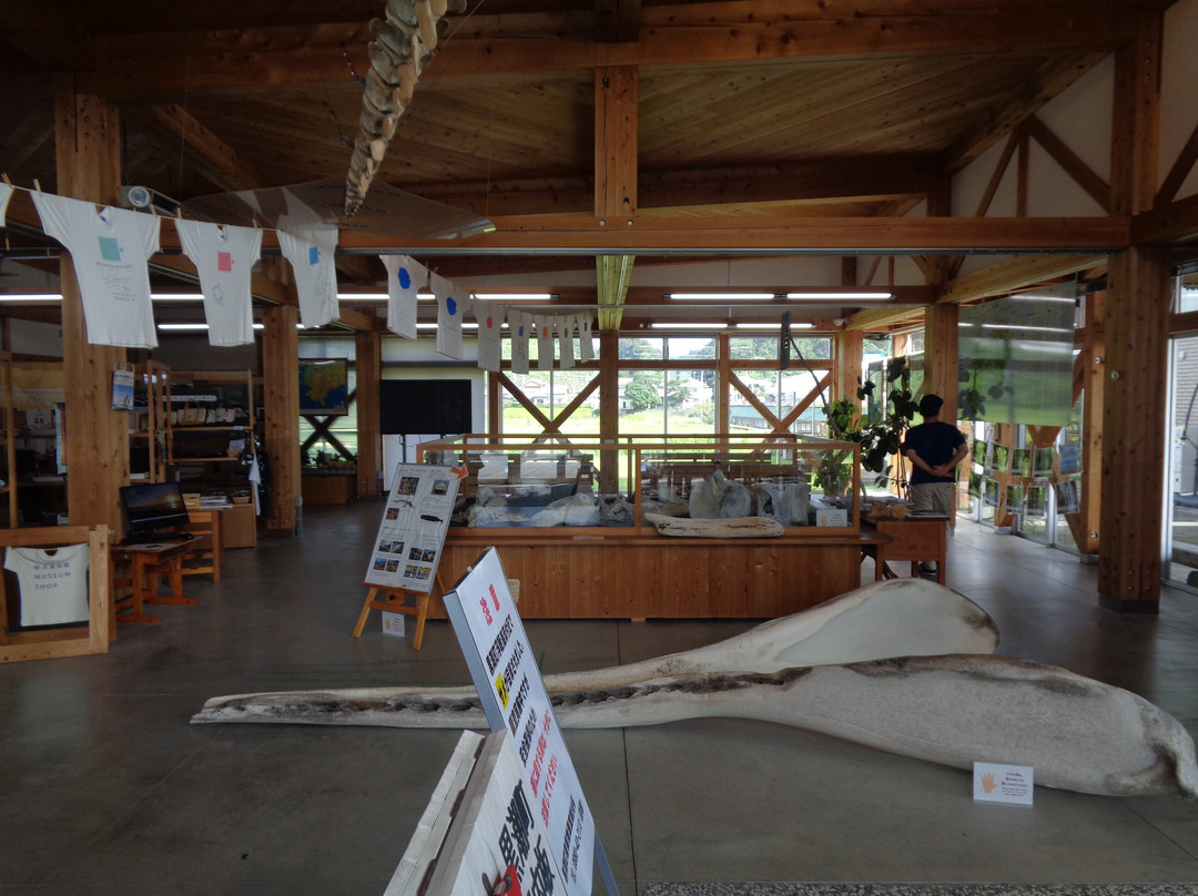 Michi-no-Eki Biosu Ogata-黑潮町必去景点