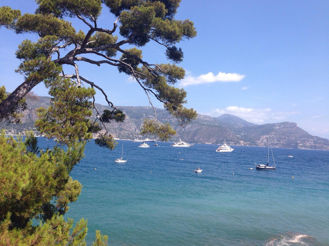 Plage Paloma - Anse de la Scaletta-圣让卡弗尔拉必去景点