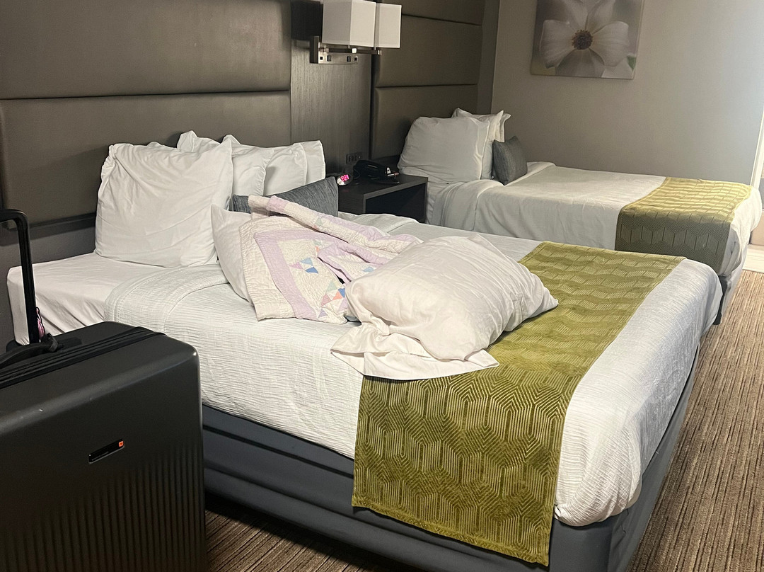 Best Western Dickson主图