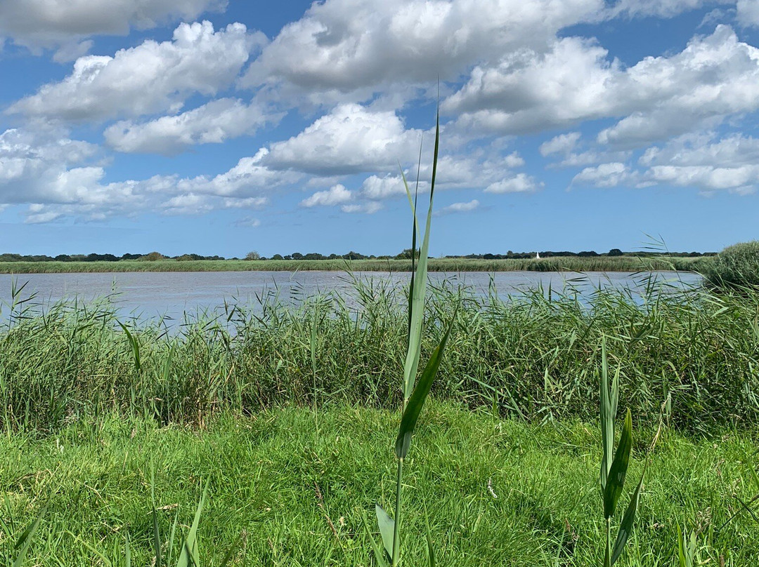Hickling Broad景点图片