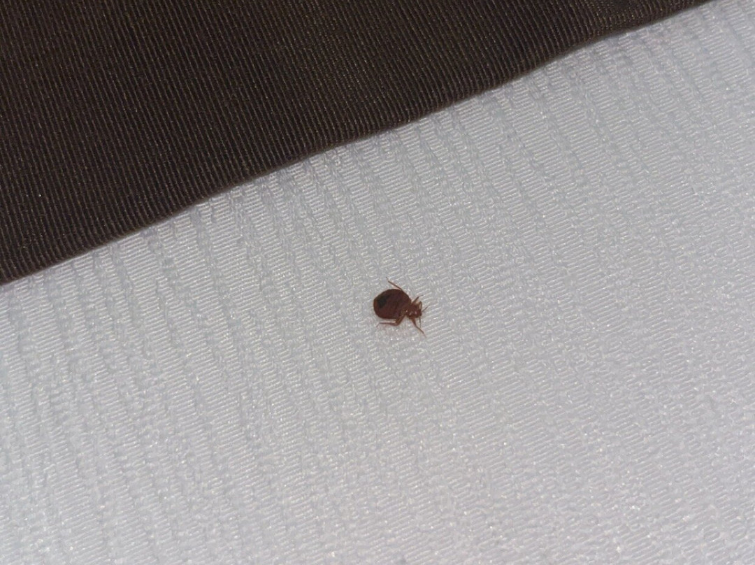 河畔小木屋主图