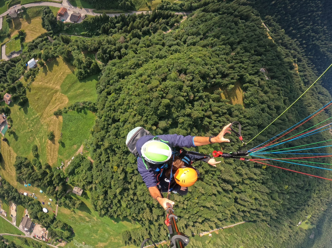 Tandem Fly Experience景点图片